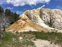 Orange spring mount