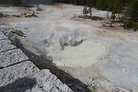 Sulphur Springs
