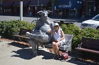 Martha and the bull