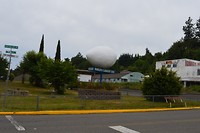 Worlds largest egg