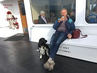 On the Ferry to Victoria