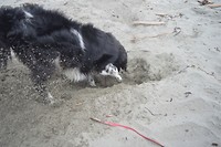 Bijke digging at Salt Creek Recreation Area
