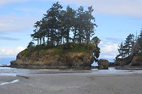 Mother Nature's Creation at Salt Creek Rec. area