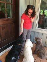 Sitting pretty for a treat from Romkje