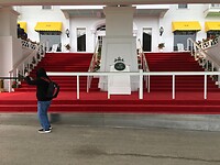 The red carpet at the hotel
