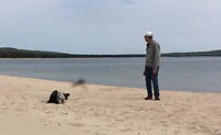 Rolling in the sand, the best part.