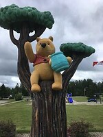 Winnie the Pooh in White River