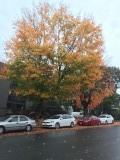 2015_10_10_IMG_1359