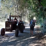 IMG-20190907-WA0013