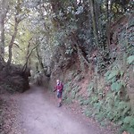 IMG-20190908-WA0009