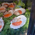 IMG-20190909-WA0020