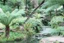 Sintra