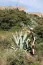 Cactussssssssss