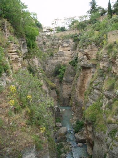 Natuur nabij Ronda
