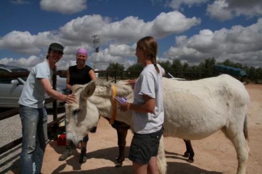Martijn, Sharon en Millie