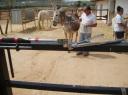 Tandarst gereedschap