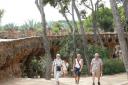 Gaudi park (Park Guell)
