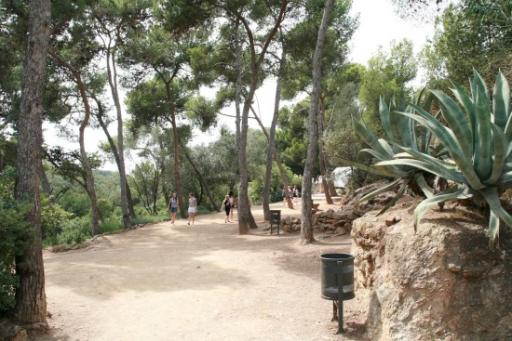 Gaudi park (Park Guell)