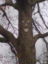 Happy tree