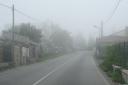 Mist
