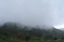 Mist