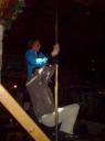 In de paal