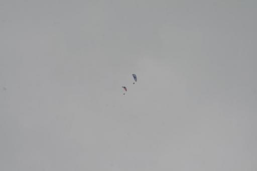 Hoog