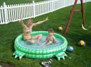 Zomer!