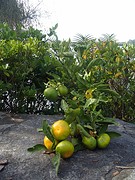 P3260354