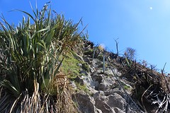 IMG_1681