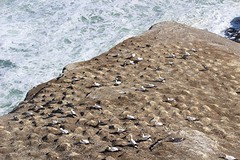 IMG_1724