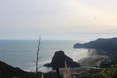 IMG_1958