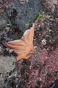 IMG_2028