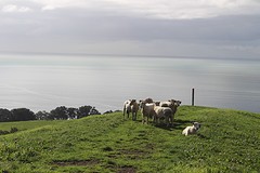 IMG_2100