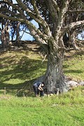 IMG_2104