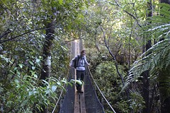 IMG_2387