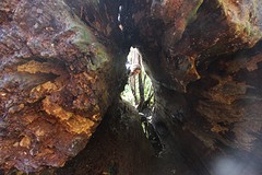 IMG_2393