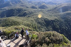 IMG_2415