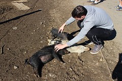 IMG_2493