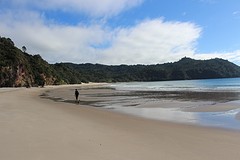 IMG_2545