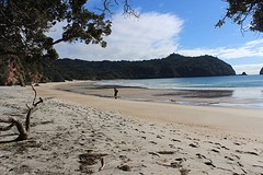 new chums beach