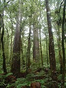 P6271150