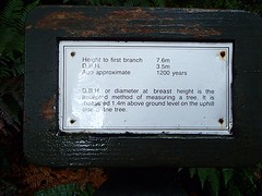 P6271152