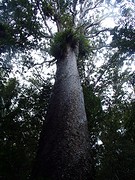 P6271156