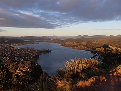 P7061326