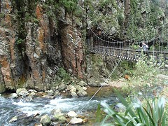 P7071339