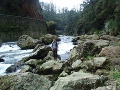 P7071347