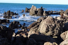 IMG_0319