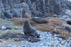 IMG_0377