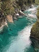 IMG_0708